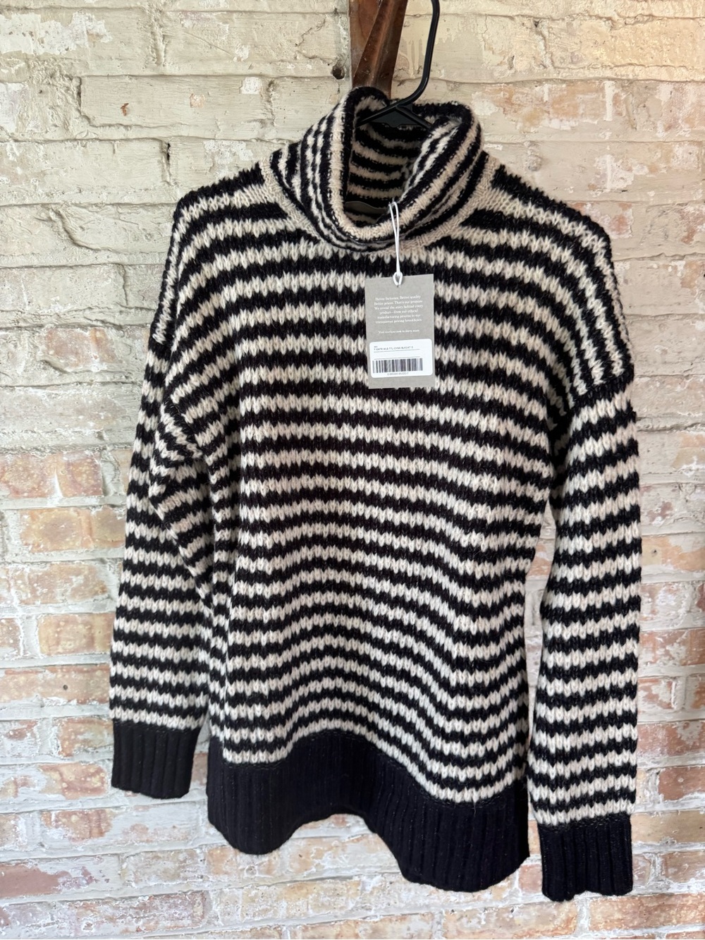 Everlane Black & Cream Striped Turtleneck Sweater